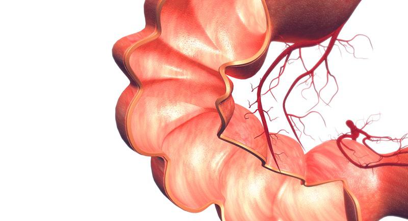 Bağırsakta Yara Belirtileri ve Tedavisi